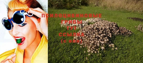 бошки Аркадак