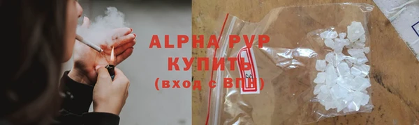 spice Арсеньев