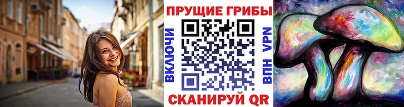 Псилоцибиновые грибы Cubensis  Судак 